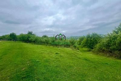 Teren de 3507 mp, în Seaca (Călimănești) - 2