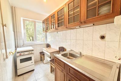 Apartament cu 2 camere nedecomandat, mobilat în Iosefin - 4