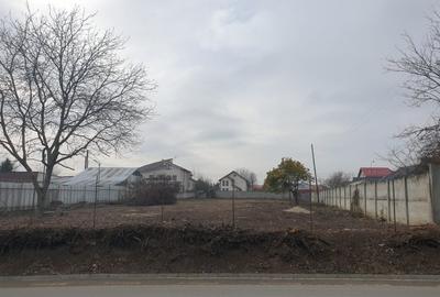 Teren de vanzare Pasarea, Branesti - Str Nicolae Balcescu - 2