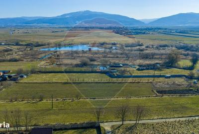 Spațiu comercial, în Prejmer - 6