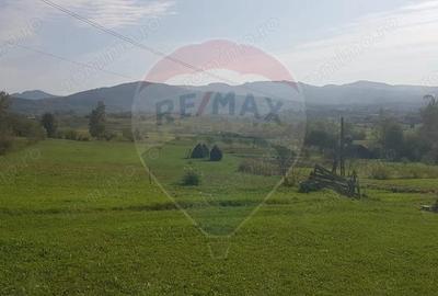 Casa si teren 1.6 ha de vanzare, in Rona de Jos - 6