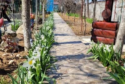 Casă Olari zona Balta Doamnei - 4