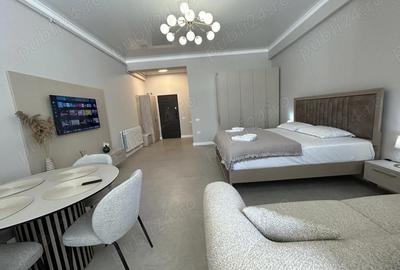 Garsonieră decomandată în Nord - 10