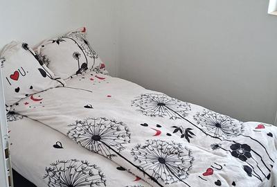 Apartament cu 3 camere nedecomandat în Central - 3