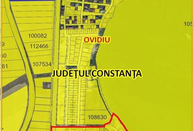 Teren de 5000 mp, în Sud - 1