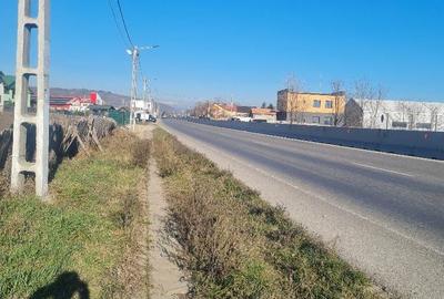 Teren de 86312 mp, în Mărăcineni - 8