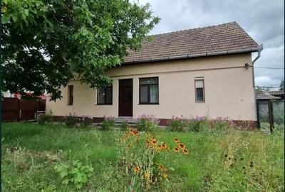 Teren generos 1411 mp cu casa veche si utilitati in centrul Apahidei - 2