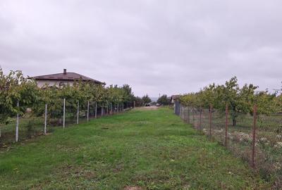 Teren intravilan - 2