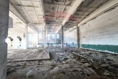 Spațiu industrial, de 5,000 mp, în Niculițel - 12
