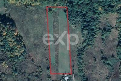 Teren agricol extravilan de 11935 mp, în Mărgineni - 5