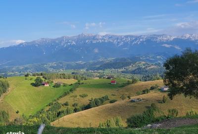 Teren de 1000 mp, în Fundata