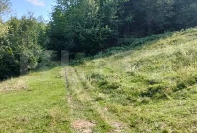 Teren de 70290 mp, în Poiana Ampoiului - 9