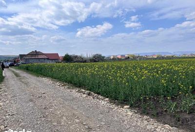 Teren de 3700 mp, în Călărași - 1