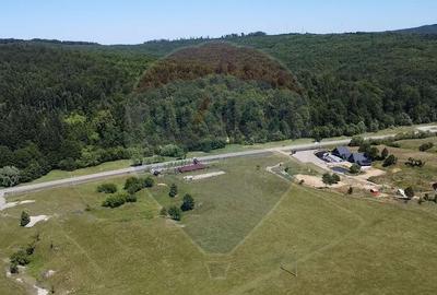 Teren 5,561mp Paltinoasa / Strada principala - 1