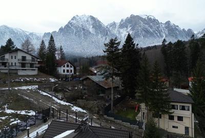 Casă cu 1 camere cu Teren 646 Mp în Valea Alba - 2