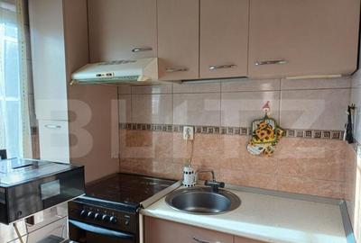 Apartament de vanzare, cu 3 camere, 48 mp, zona parc Nicolae - 1