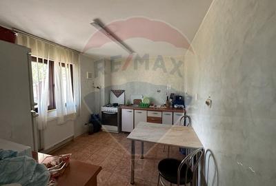 Spațiu industrial, de 5,000 mp, în Tișița - 20