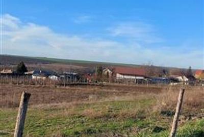 Teren Construcții intravilan de 1392 mp, în Odaia Manolache - 5