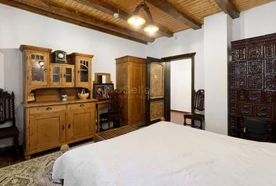 Complex de 3 case pe 18000 mp teren - 9