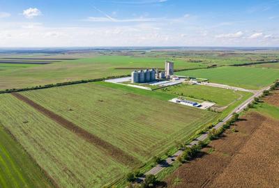 Teren de 104000 mp in Vinga - 1