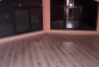 Casa cu mansarda de vanzare in Loc. Dorohoi Jud. Botosani - 7