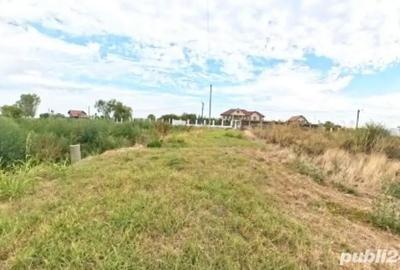 Casă cu 6 camere cu Teren 2000 Mp în Dumbrava - 4