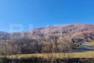 Teren de 6823 mp, în Central - 5