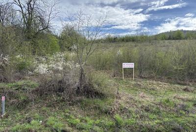 Spațiu comercial, în Eșelnița - 7