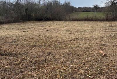 Spațiu comercial, în Roșia - 2