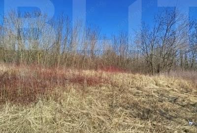 Casă cu Teren 10000 Mp în Central - 2