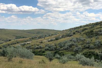 Teren de 500000 mp, în Valea Călugărească - 8
