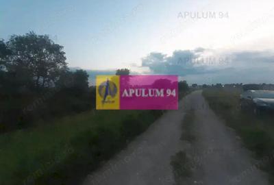 Teren de 3820 mp, în 1 Decembrie - 5