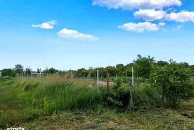 Spațiu comercial, în Bună Ziua - 2