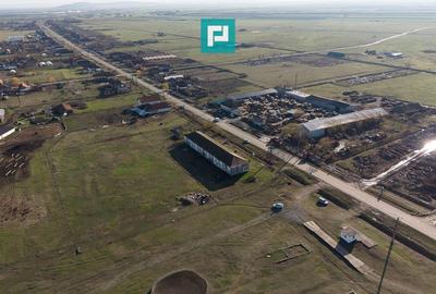 Hală industrială cu teren generos în Zărand, Arad - 46