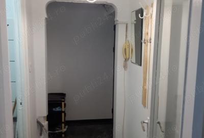 Apartament cu 2 camere nedecomandat, mobilat în Brotăcei