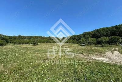 Teren Extravilan - 10'000 Mp - Valea Budacului (Bistrita) - 3