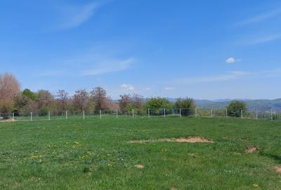 Teren Campina varful Muscel - 14