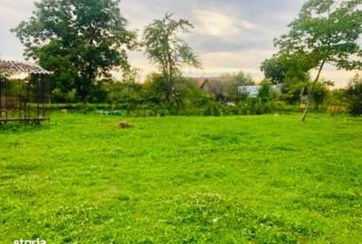 Casă cu 2 camere cu Teren 200 Mp în Buteni - 4
