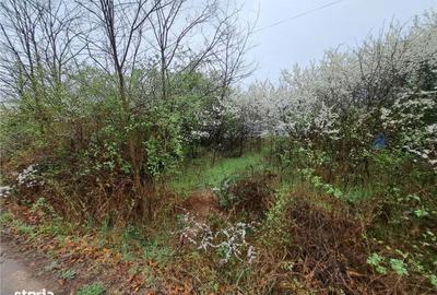 Spațiu comercial, în Ghenetea - 2