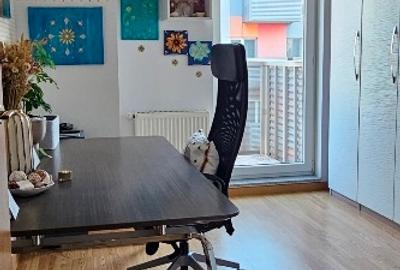 Apartament cu 3 camere decomandat în Andronache - 7