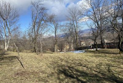 Teren de 2500 mp, în Talea - 5