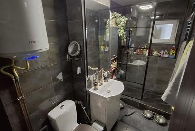 Apartament 2 camere  Fizicienilor / Camil Ressu / Mobilat / Utilat / - 5