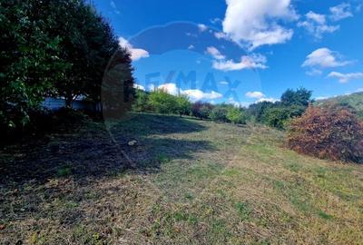 Teren 1,000mp Piatra-Neamt / Strada Pietrelor - 14