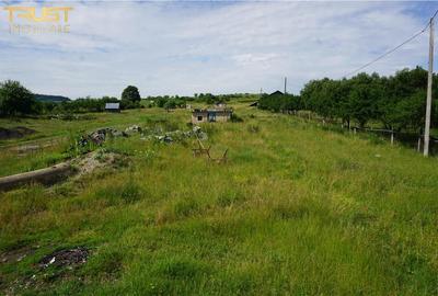 Teren agricol intravilan de 13725 mp, în Posmuș - 15