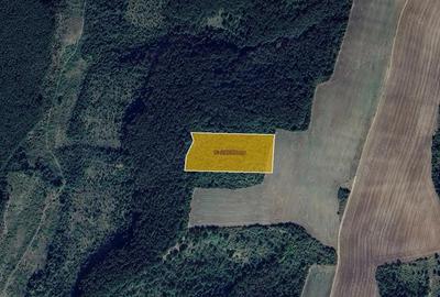 Teren de vanzare Recas - 8