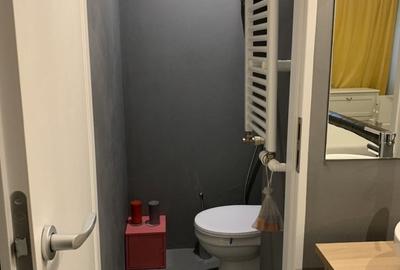 Apartament cu 2 camere semidecomandat, mobilat în Herăstrău - 12