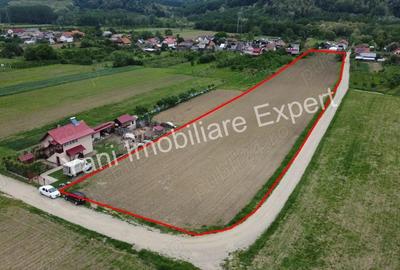 Teren 10.000 mp de vanzare in comuna Ciofrangeni, Judet Arge?. - 3