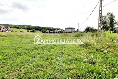 Teren 6.800mp teren cu deschidere de 100 m la drum asfaltat - 2