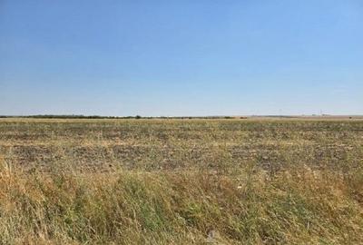 Teren extravilan Smardioasa, cota 1/6, ID: R2688427 - 7