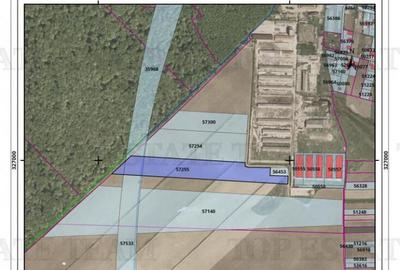 Teren pentru complex hale/logistica cu facilitati si acces Teren pentru complex hale/logistica cu facilitati si acces - 1